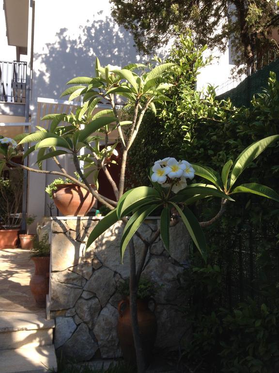 مبيت وإفطار آتْشّي كاستيلّو Il Giardino Dei Limoni المظهر الخارجي الصورة