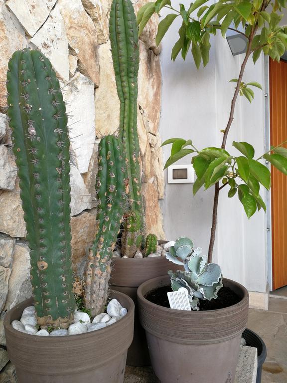 مبيت وإفطار آتْشّي كاستيلّو Il Giardino Dei Limoni المظهر الخارجي الصورة