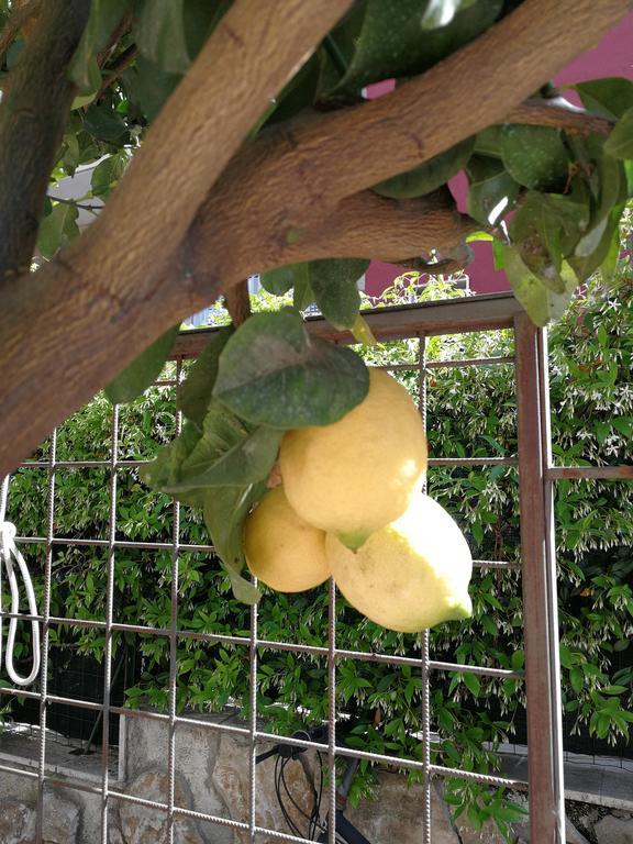 مبيت وإفطار آتْشّي كاستيلّو Il Giardino Dei Limoni المظهر الخارجي الصورة