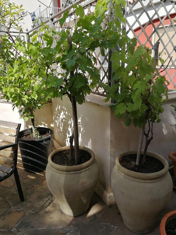 مبيت وإفطار آتْشّي كاستيلّو Il Giardino Dei Limoni المظهر الخارجي الصورة